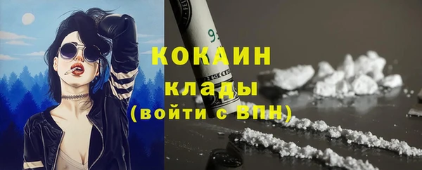 шишки Краснослободск