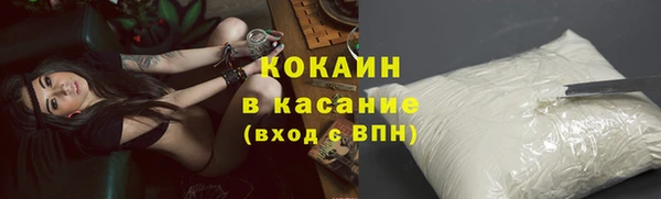 соль ск Кукмор