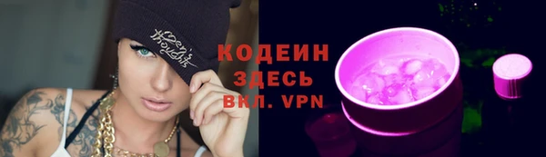 шишки Краснослободск