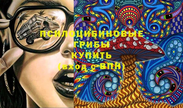 шишки Краснослободск
