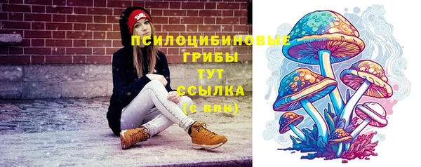 прущий лед Кулебаки