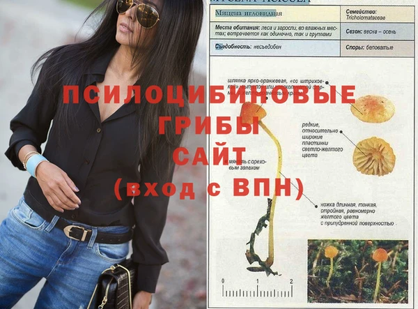 прущий лед Кулебаки