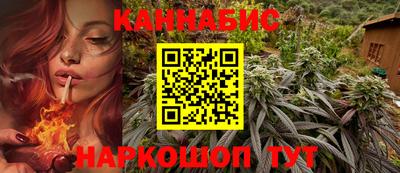стаф Канаш
